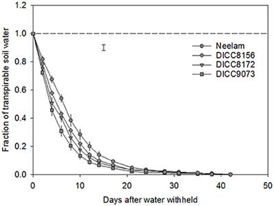 Pattern of Water Use and Seed Yield under Terminal Drought in Chickpea Genotypes